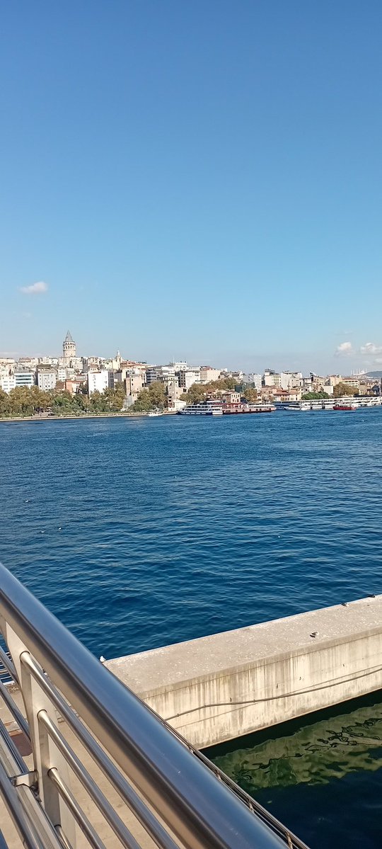 _papatya_m_'s tweet image. _//🌼💙

Bazı insanlara acısan bir türlü 
Acımasan diğer türlü 
Allah ıslah etsin deyip 
Sayfayı çevirmeli
Allah &apos;ın nasip etmediği hidayeti 
Sen zorla kazandıramazsın 
#Cuma muhasebesi 🙄
#anlık ...👇