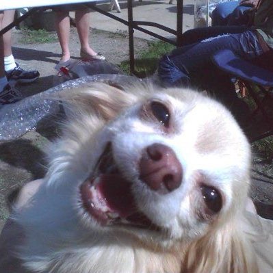 i love when onf perform and inevitably the camera pans to seungjun looking exactly like this: