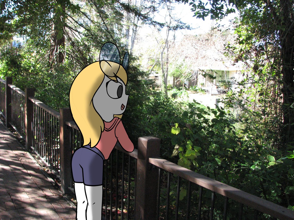 minimidimations tweet media