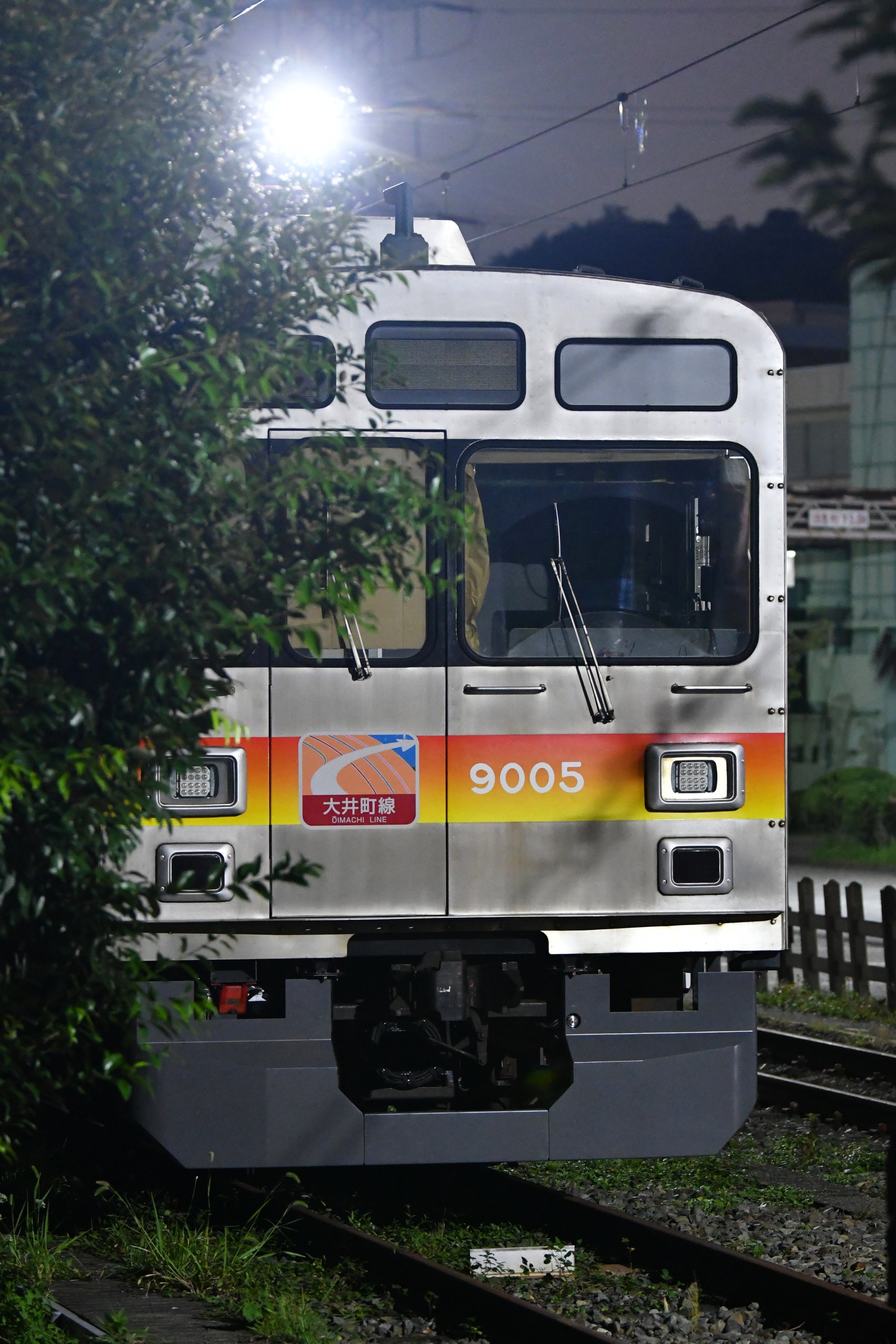 アホ(天才)(有名人) (@SEMI_SAYAMASHI) / X