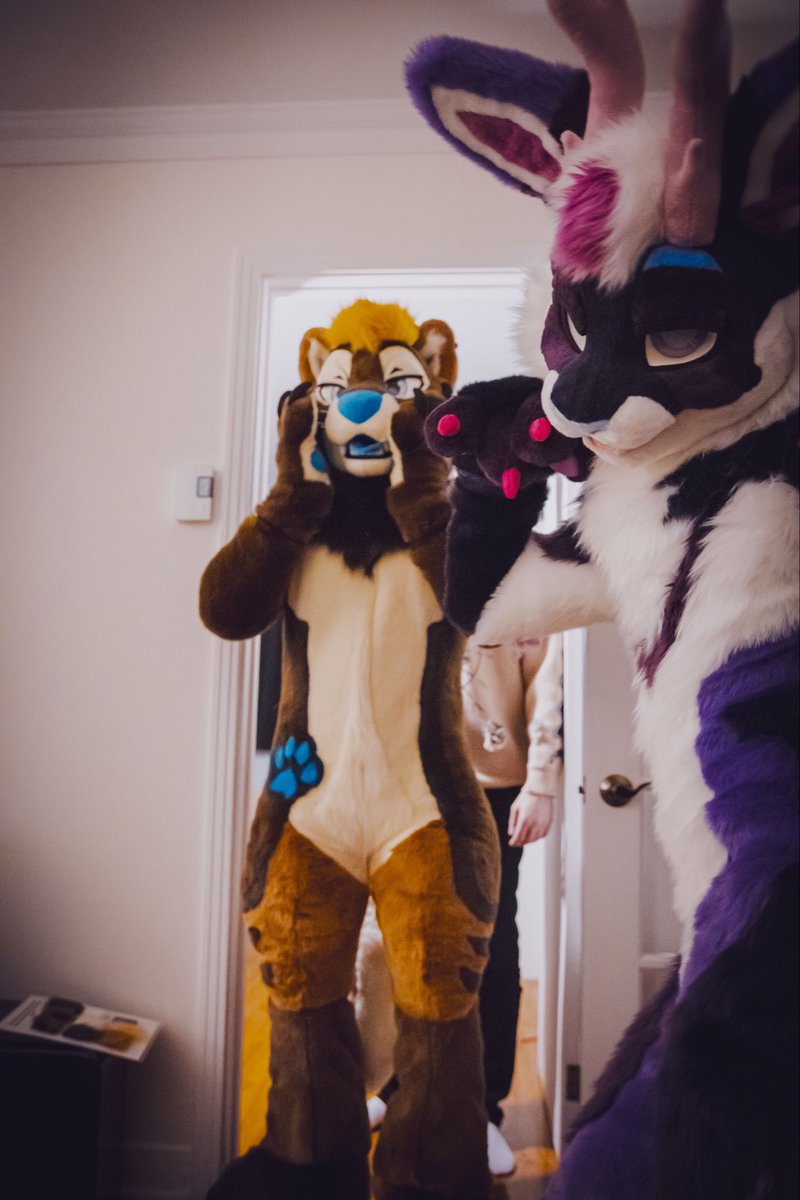 Kaiko_dotter's tweet image. It’s been 6 months since I got my suit 🥰

This #FursuitFriday I’m grateful for my friends, our community and to have found a new creative outlet

🪡 : @WildcatCostumes 
📸 : @TunnyCorgi