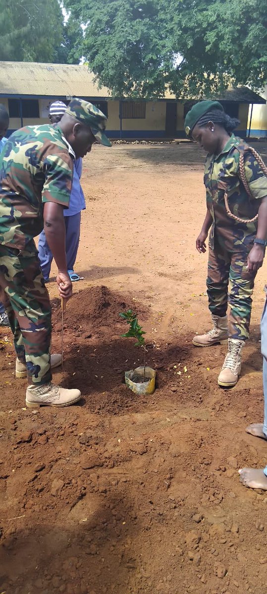 NGECKenya's tweet photo. In Kilifi County, our coastal team planted trees at Malindi Central Comprehensive School as part of Mazingira Day celebrations. The activity highlighted the importance of restoring green cover and promoting environmental consciousness among young learners. #MazingiraDay2025KE https://t.co/PcRWN91594