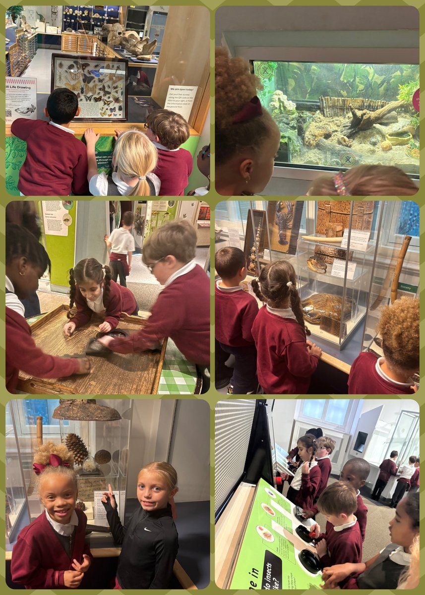 Mrs Briggs tweet media