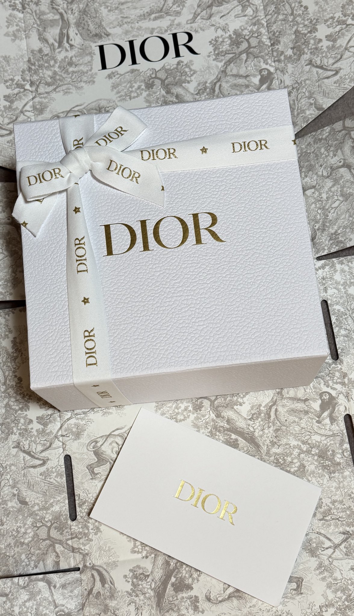 🦋akko🩺👑⚔️🫶🪭🧛👻🦀 on X: 