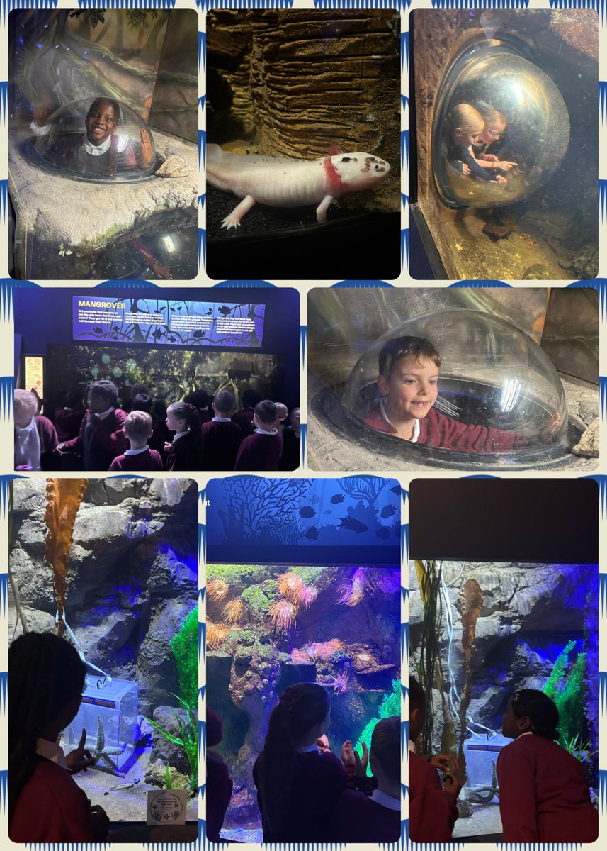 Mrs Briggs tweet media