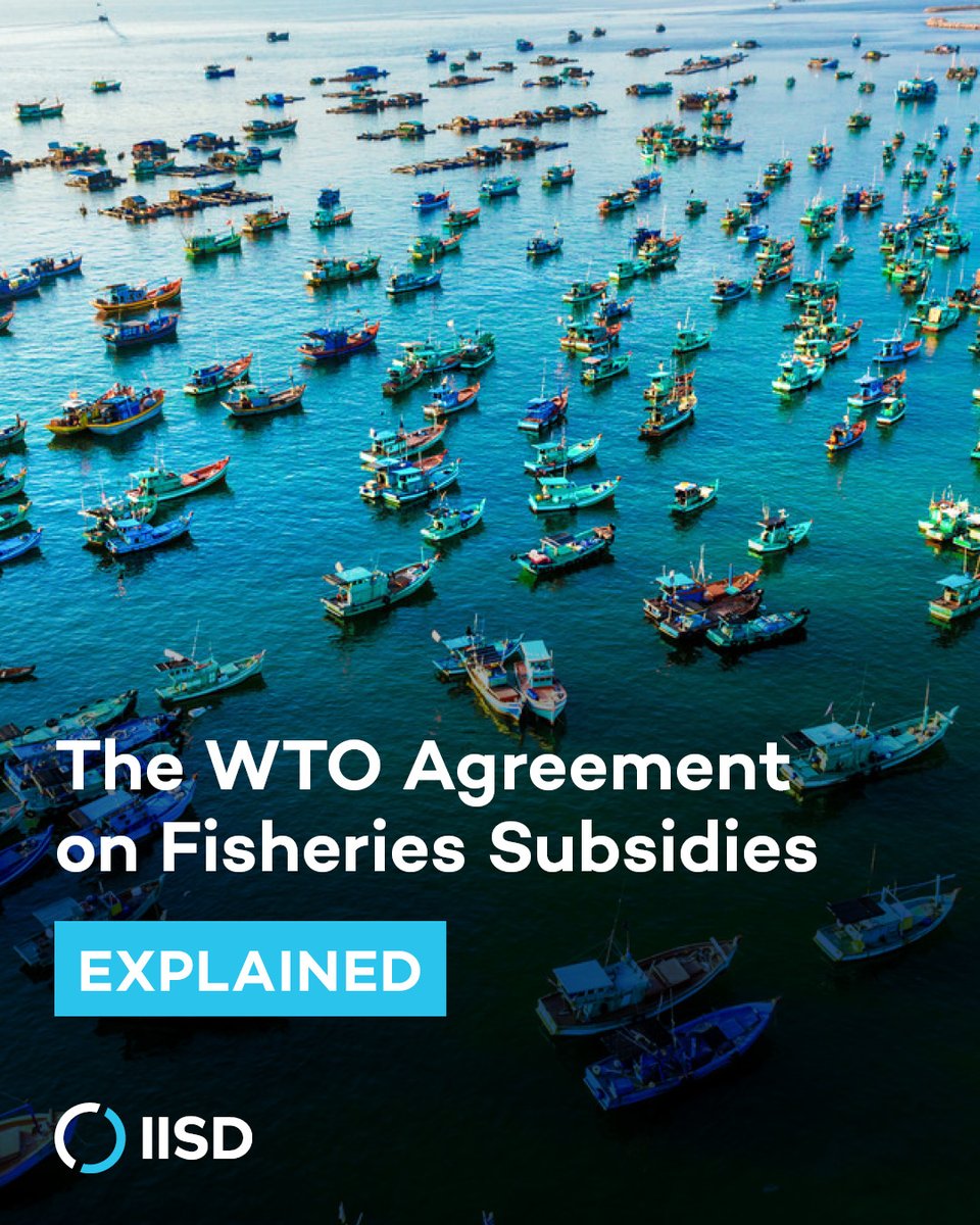 The <a href="/wto/">WTO</a> Agreement on #FisheriesSubsidies explained 🐟

What does the agreement cover? And what do governments need to put in place? 

Learn more below👇 1/10