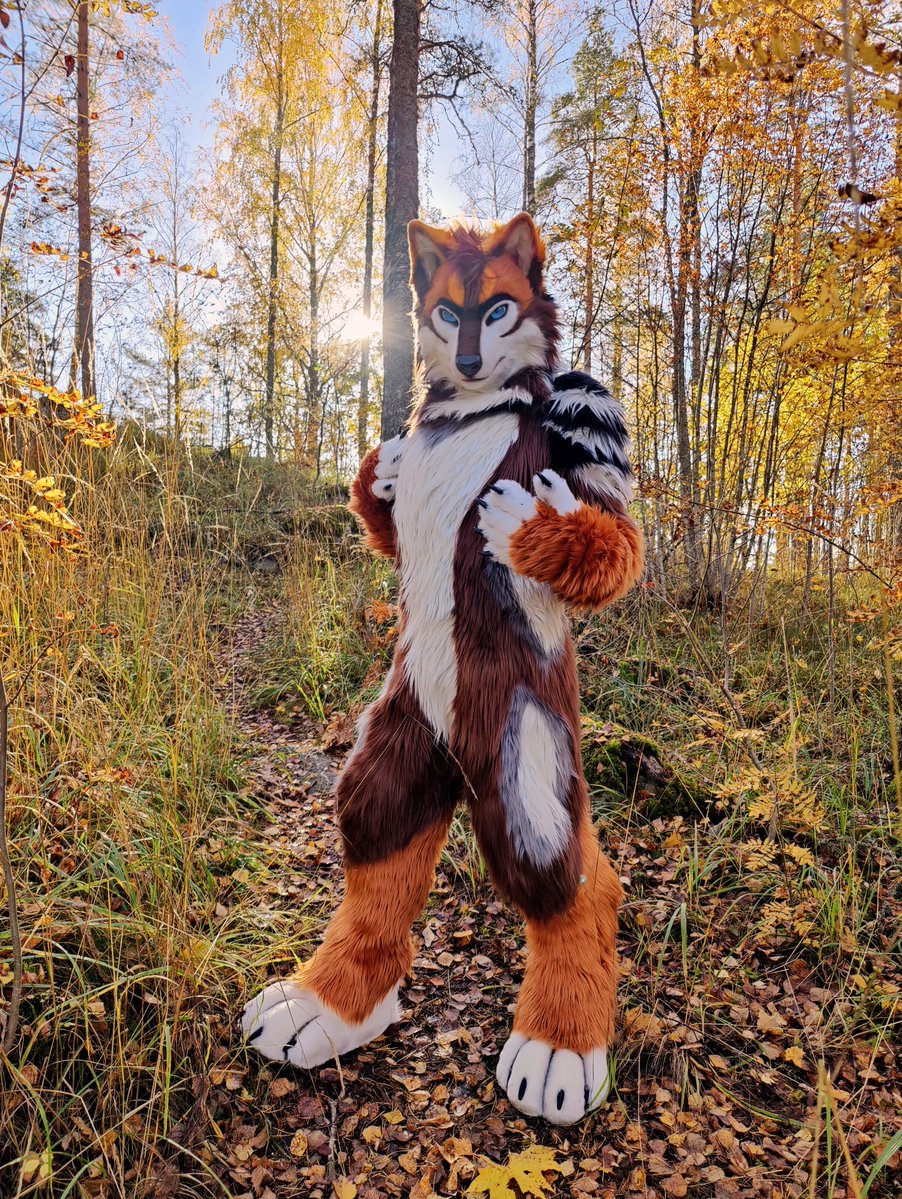 Carbine (@carbinecoyote) on Twitter photo I'm having a wonderful time in Finland and just finished a fursuit photoshoot in the forest. Have a quick snapshot for #FursuitFriday ๐ I'm having a wonderful time in Finland and just finished a fursuit photoshoot in the forest. Have a quick snapshot for #FursuitFriday ๐