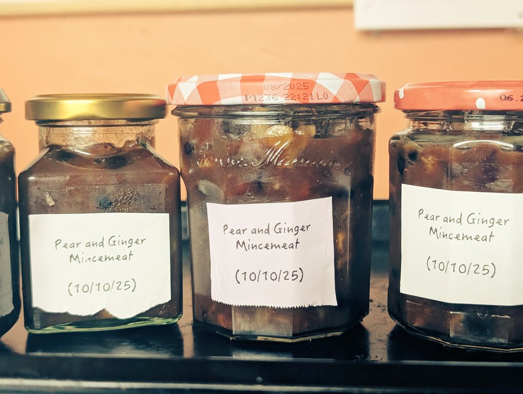 In my mincemeat making era 🤶🏼