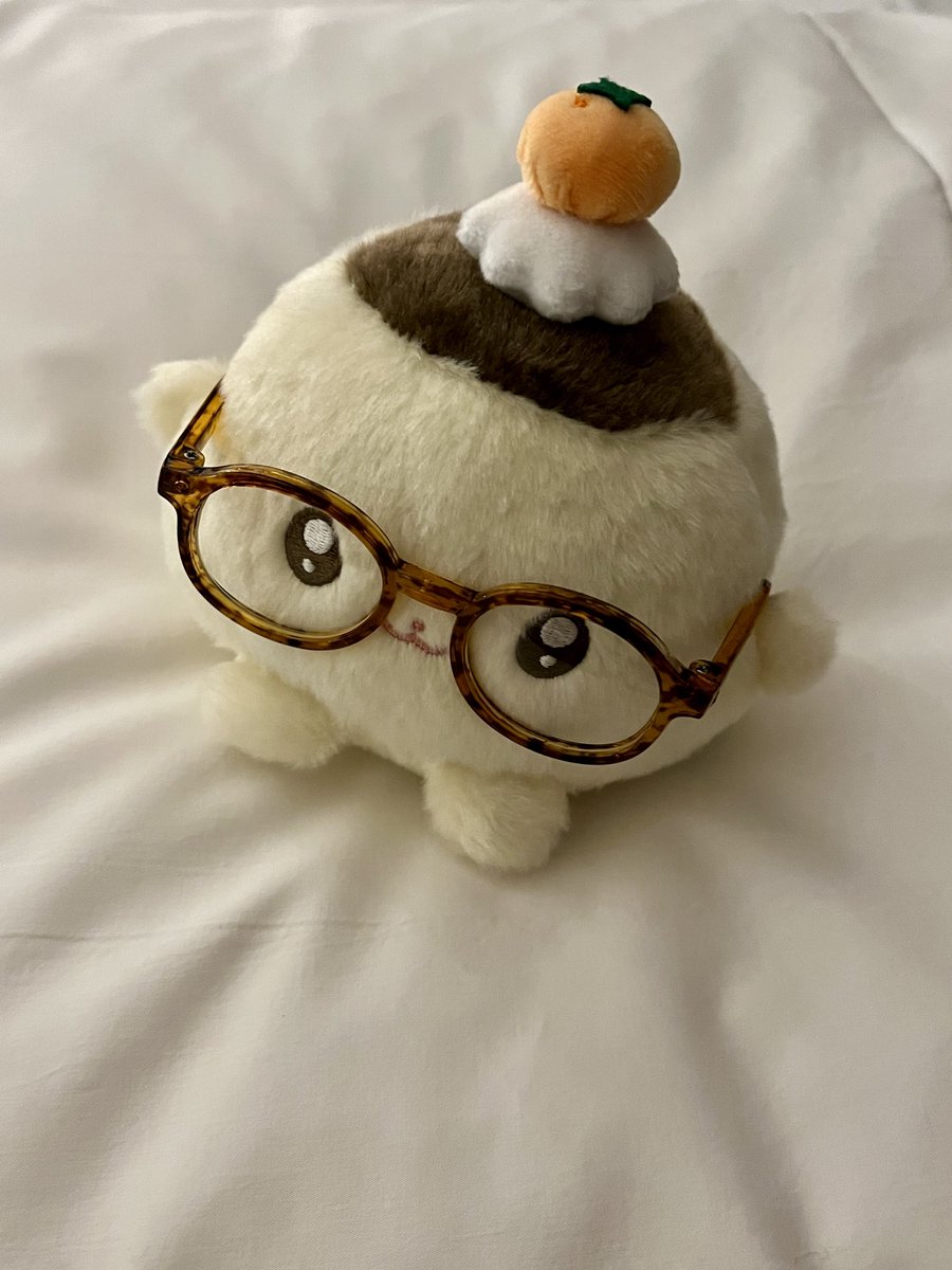 jujyuugoya's tweet photo. 푸딩붐이 너무 너무 귀여워~🥰🥰 https://t.co/4t7J5LJGfn