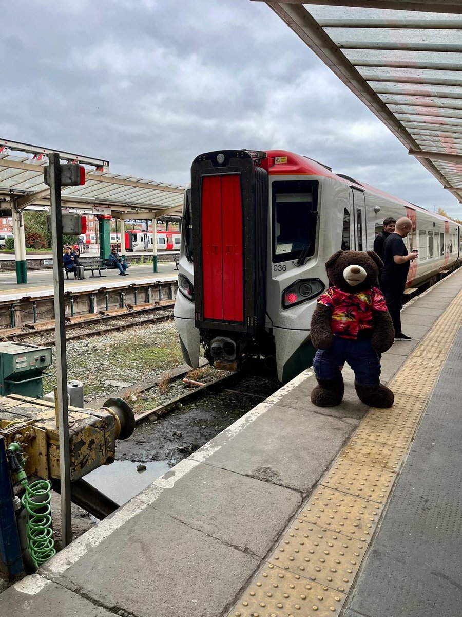 HunsletTheBear's tweet image. Hunslet decided to go and see some big trains instead #tfw