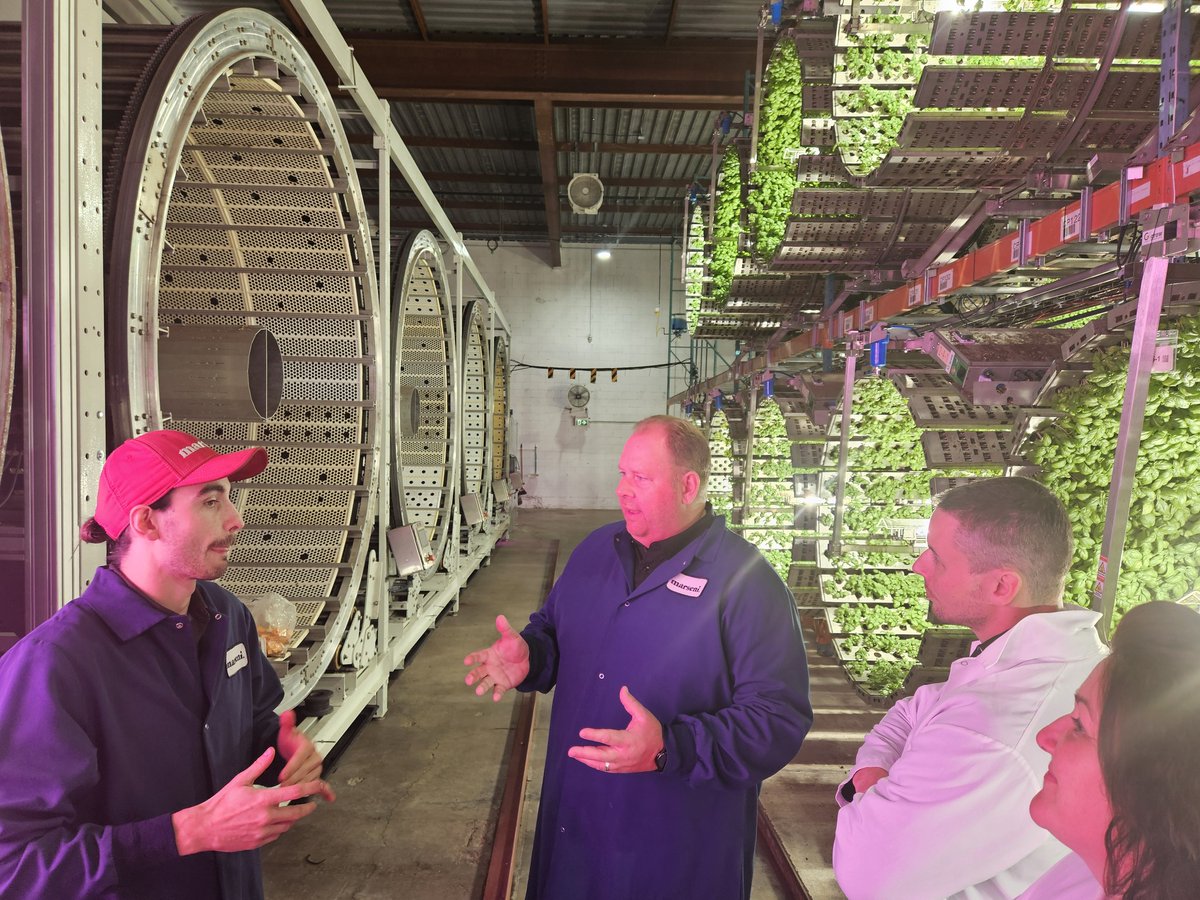 Super événement à la ferme Marseni à Casselman, en collaboration avec la Chambre de commerce et la Corporation de développement de P-R! 🌿
 
Great event at Marseni Farm in Casselman with the P-R Chamber of Commerce and P-R Development Corporation! 🌿