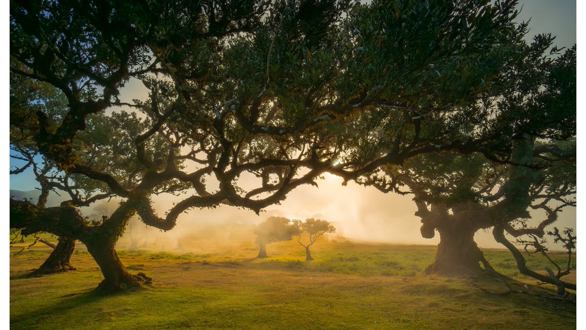 ✅AgriDataValue Italian pilots and CAP implementation.
#AgriDataValue #EU #CAP 
Read more at the following link: agridatavalue.eu/index.php/2025…