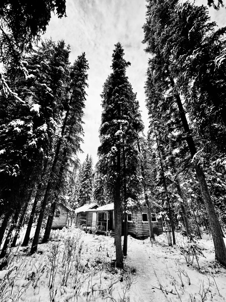 Heading home from the #Yukon. Will miss this snowy cabin. #Wilderness2