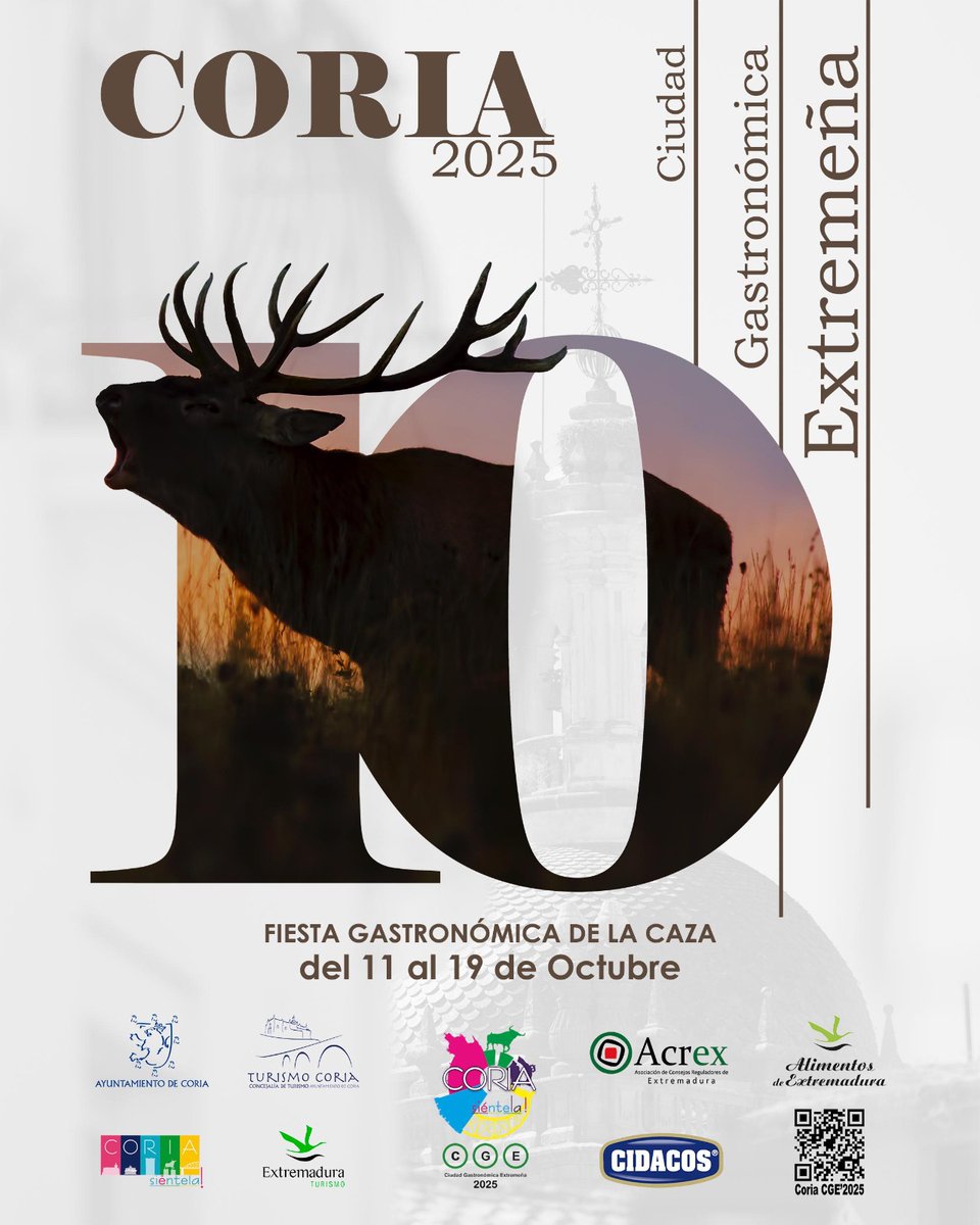 Miradas Viajeras tweet media