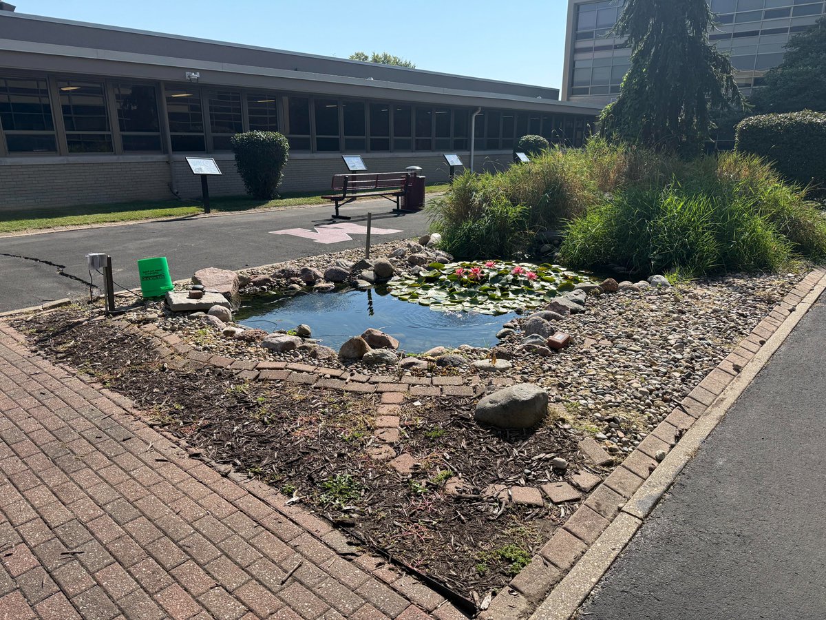 Moline-CV SD #40 tweet media