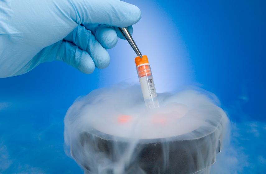 One fat collection = a lifetime of healing potential. Learn how #stemcell banking and retreatments help pets live their best lives in this week's #VetStem blog. #stemcells #stemcellbanking #regenerativemedicine #veterinary
blog.vetstem.com/the-importance…