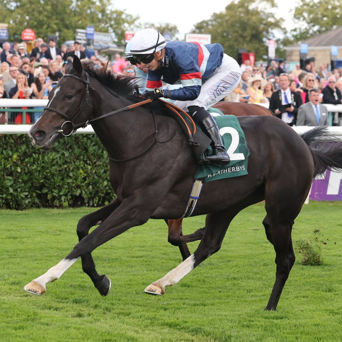 CALENDAR GIRL wins the Group 3 Oh So Sharp Stakes at Newmarket 🎉