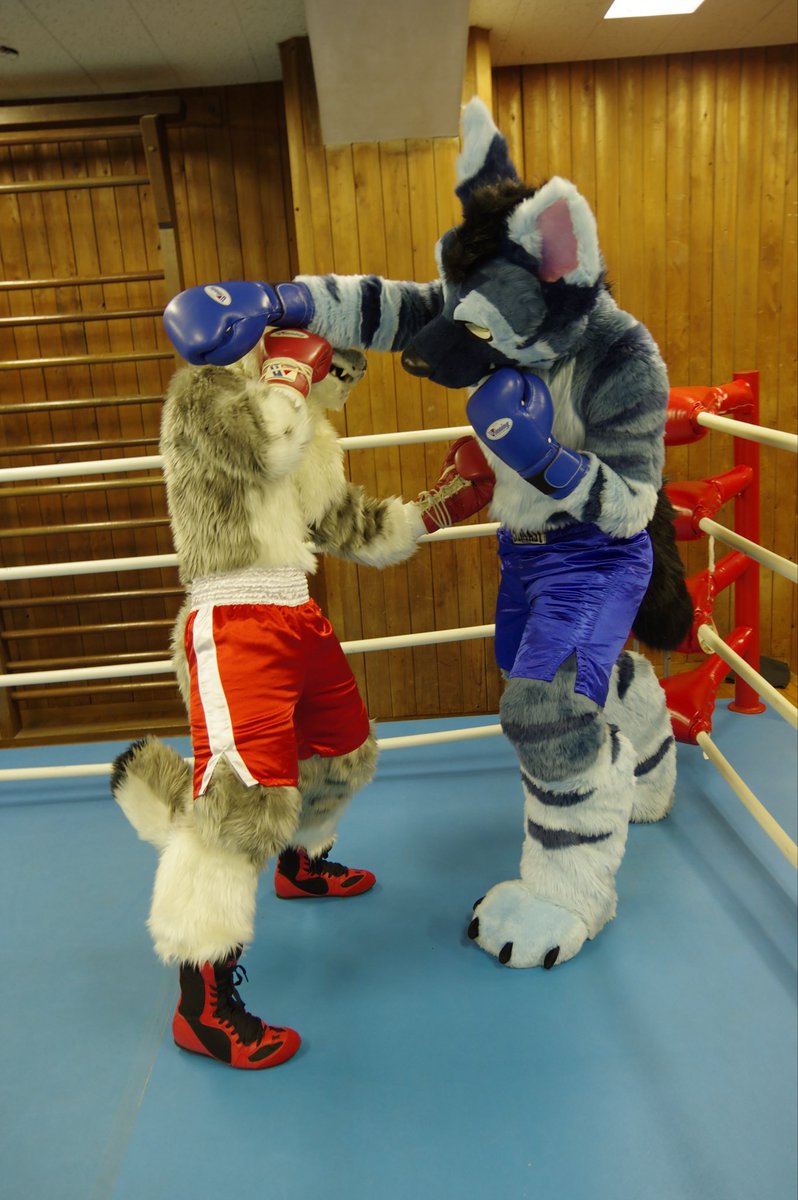 FIghtober Day 9 - slip 
今日のテーマ「スリップ」も色んな意味があるんだけど、スリッピングでパンチギリギリに避けるヘイルくん！
口元だけ見えてるのがめっちゃ良い感じ…！🥊

#Fightober2025
#獣BoxingGym 
#FFF
#FursuitFriday