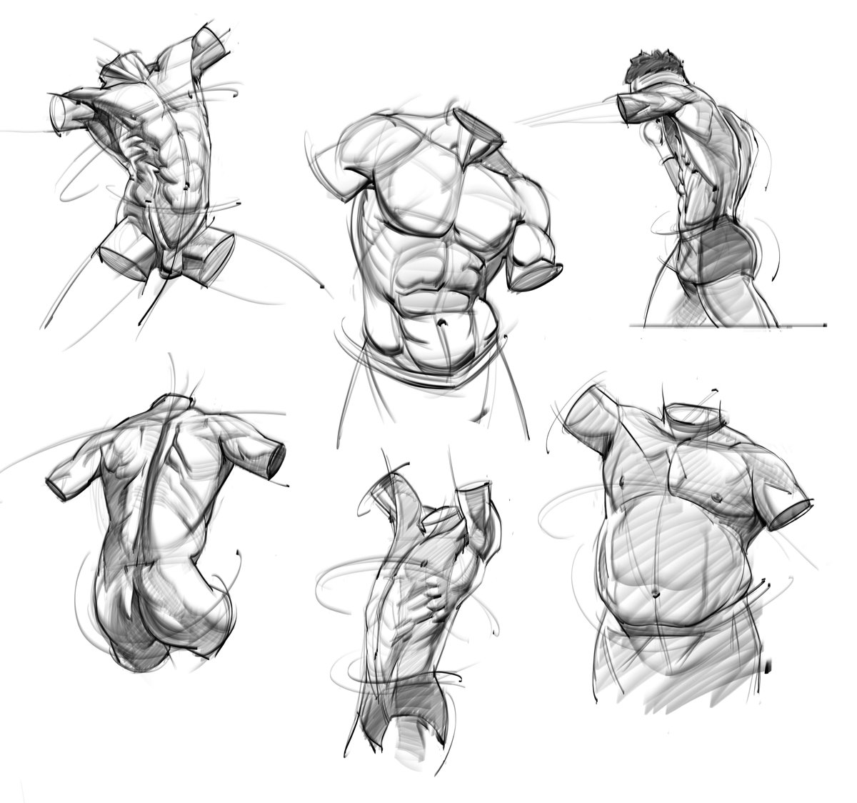 saqomolo's tweet image. Torso drawings from my male torso gumroad and proko tutorial! #figuredrawing #gesturedrawing #goals #gottogetbetter #sketches #doodles #shading #chest #shoulders #arms #core #abs #anatomy #humananatomy