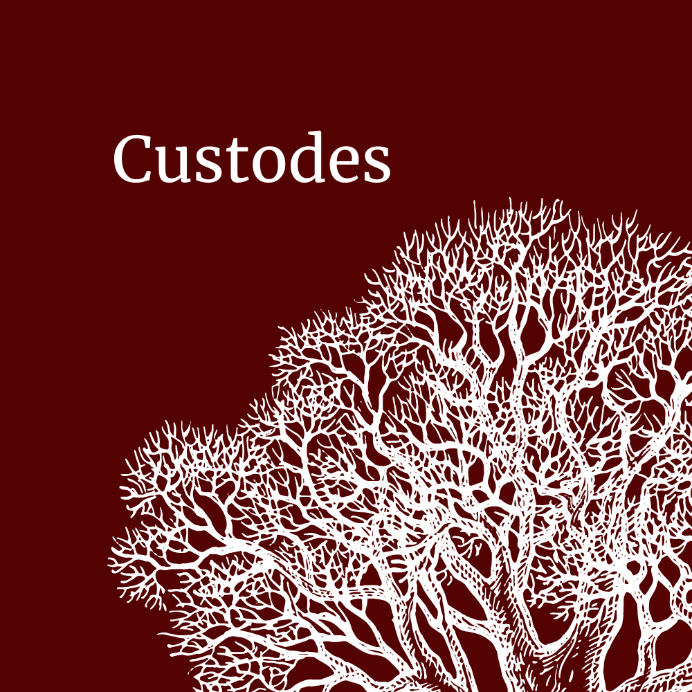 Custodes Instituut tweet media