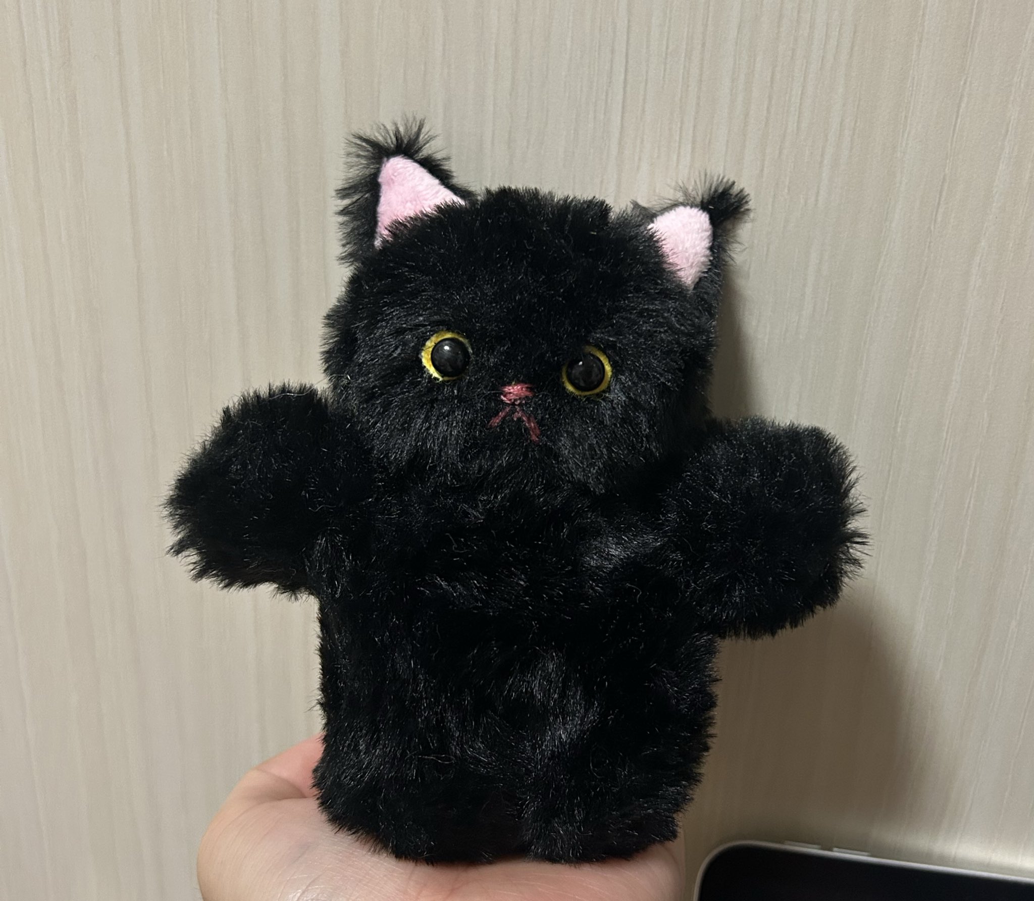 more-cats もあねこ ハイロ 黒雷 未開封品 ソフビ more-cats もあねこ ハイロ 黒雷 未開封品 ソフビ