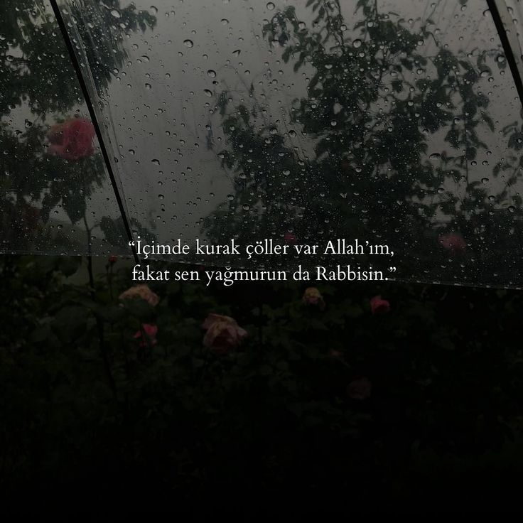 Halet-i Ruhiye (@haletihissiyat) on Twitter photo 