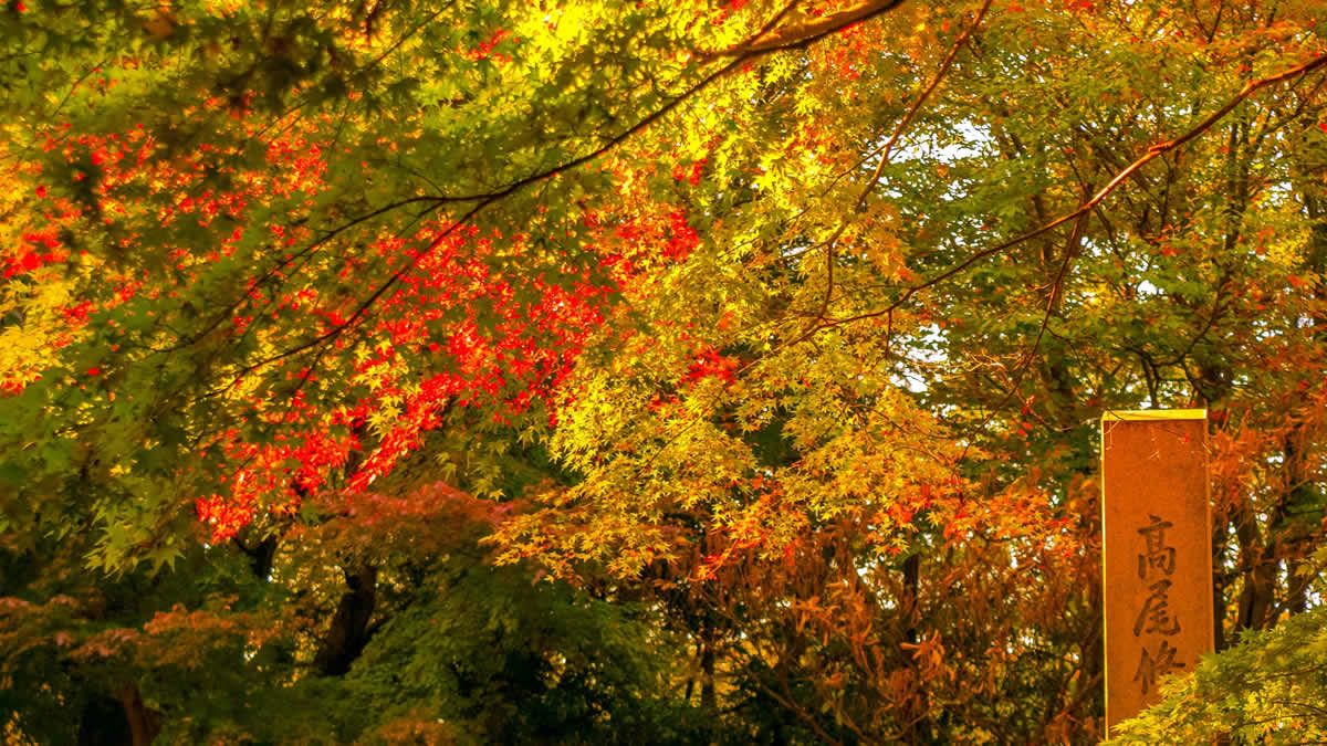 イベントチェッカー製作委員会 on X: 