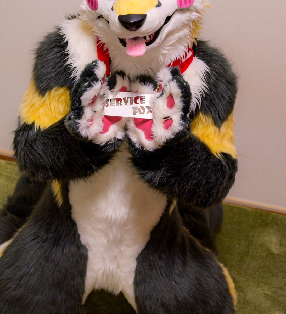 hozuKa_AD (@hozuka_ad) on Twitter photo 