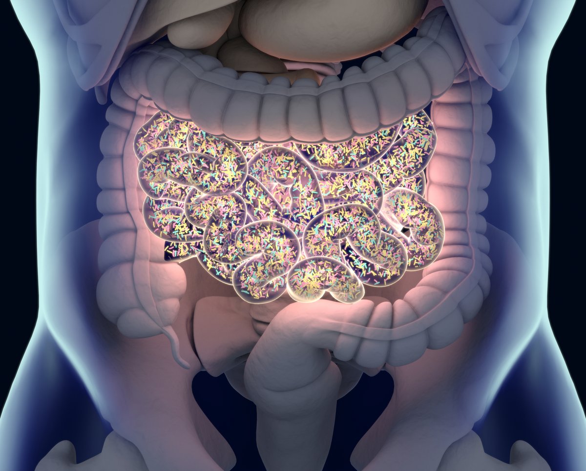 APSPhysiology's tweet image. #Microbiome imbalances in the gut and throughout the body may contribute to #PCOS. Understanding these shifts could guide future treatments for reproductive and metabolic health. Read more in @PhysiologicalG: ow.ly/ok8l50X6iFn #ArticlesInPresS