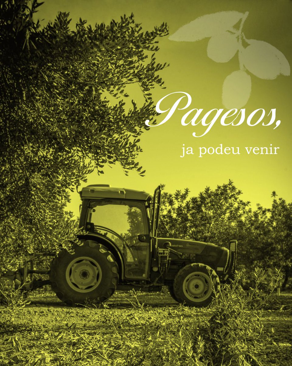 A tots els pagesos: avui, 10 d’octubre, obrim el molí! 

Comencem una nova temporada d’elaboració del nostre estimat “oli del raig” i ho fem amb la mateixa il·lusió de sempre. Gràcies per ser part essencial de la nostra terra i per mantenir viva la cultura de l’oli any rere any.