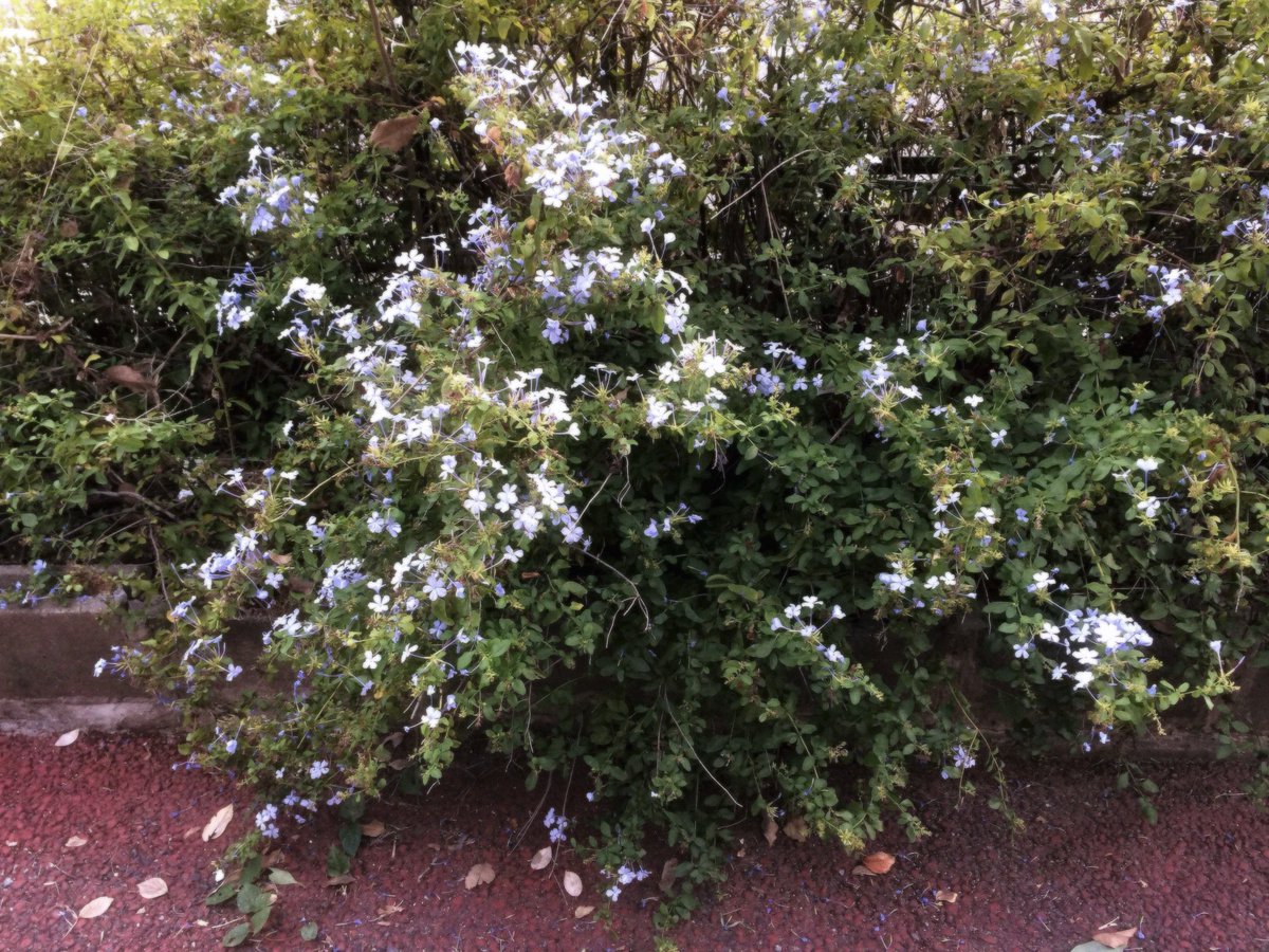 25u (@miniminippi) on Twitter photo 