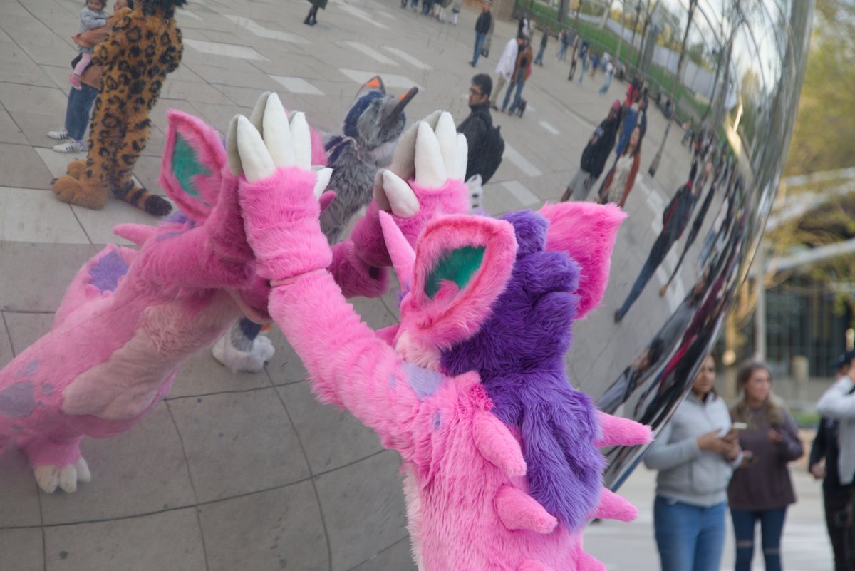 Touch the Bean this #FursuitFriday in #Chicago

📸 @myrkthecat