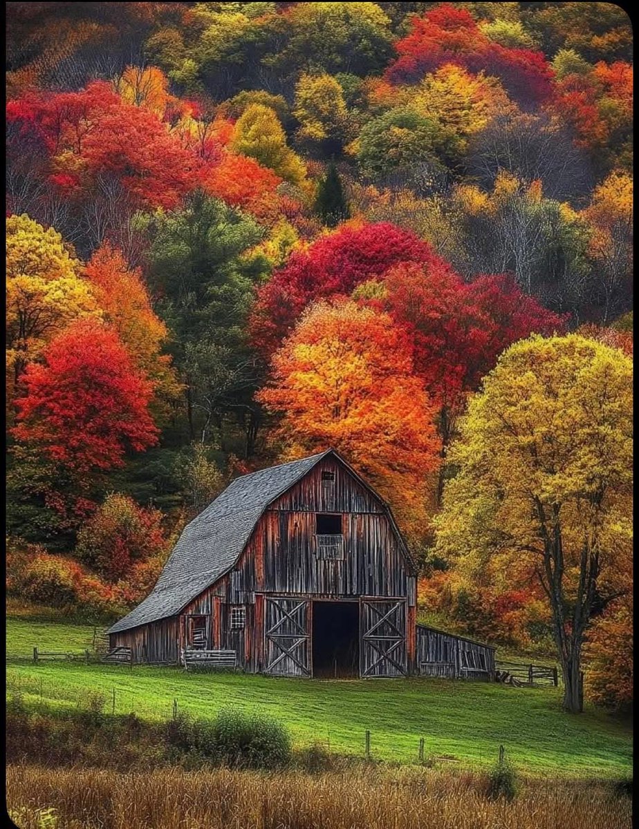 jonkrup111's tweet image. Good Friday morning y’all ☀️☕️🍁🍂👋
Have a fabulous day! #FridayVibes 💛🧡