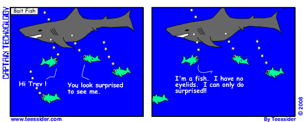 melsmallwriter's tweet photo. #BaitFish https://t.co/KnvcnmpLZv