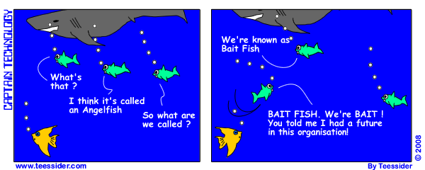 melsmallwriter's tweet photo. #BaitFish https://t.co/KnvcnmpLZv