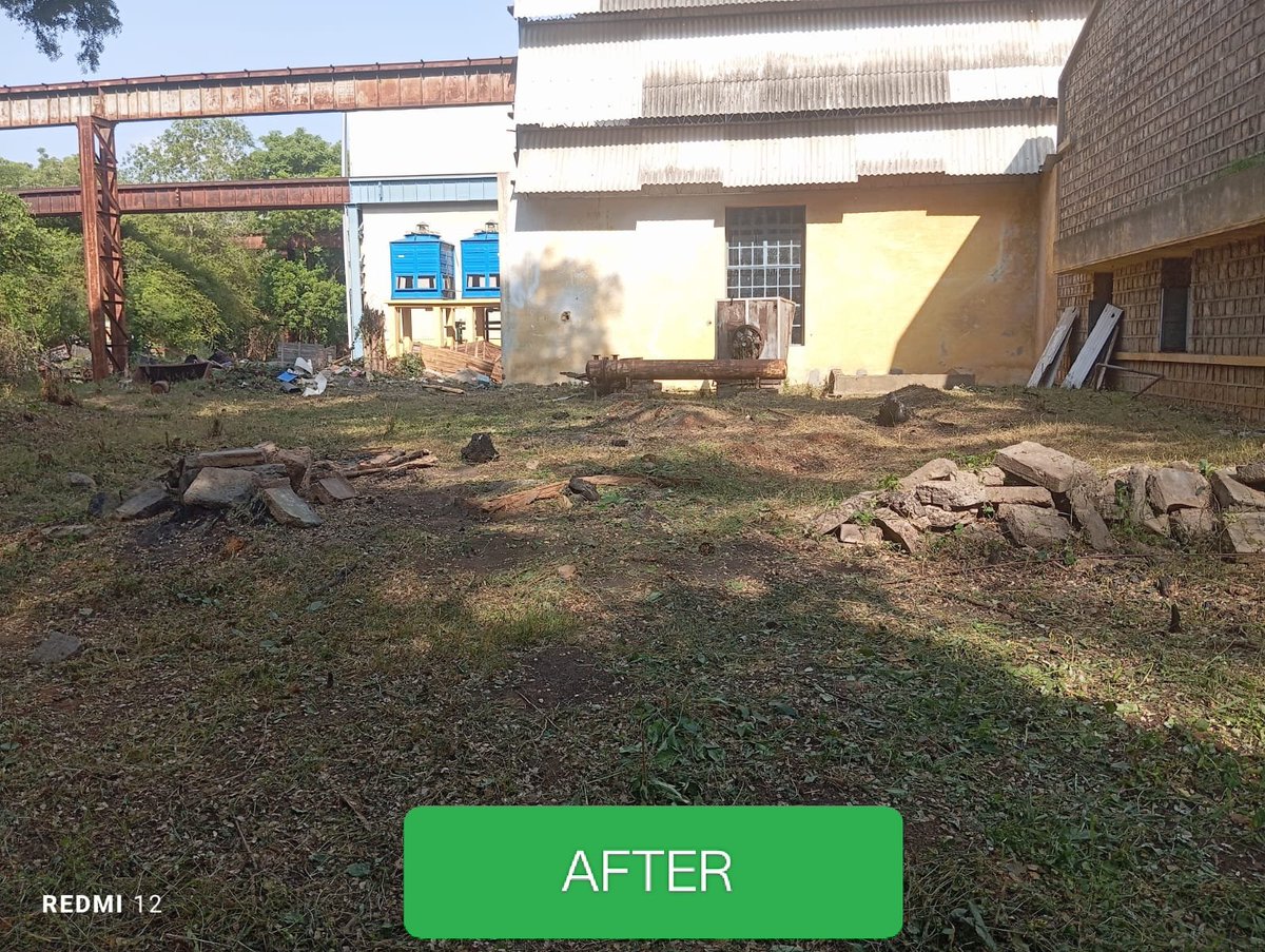 Throny bushes were cleared on the pretext of forthcoming monsoon in the OFT Estate premises and inside Factory as a part of 
 #SpecialCampaign5
