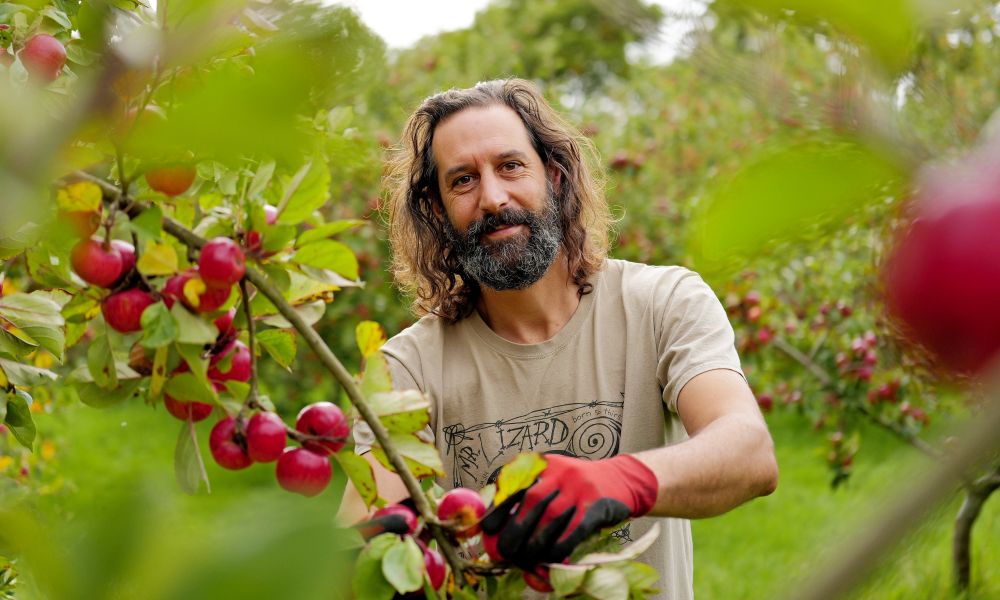 talker_news's tweet image. Long hot summer leads to cider too strong for pubs: talker.pub/3KAyKZ7 

#cider #alcohol #summers #climatechange