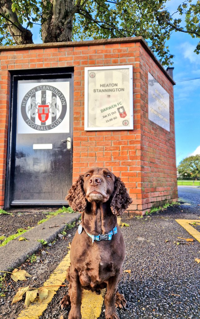 Sports Shop Boy tweet media