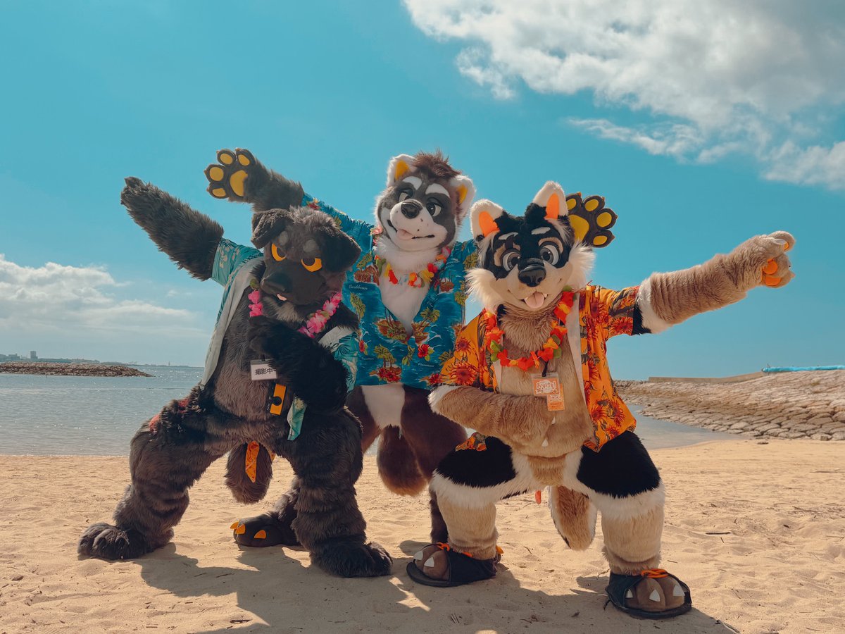 このギニュー特戦隊みたいな写真が好きで写真をお家に飾ってる😇✨
#おきけも