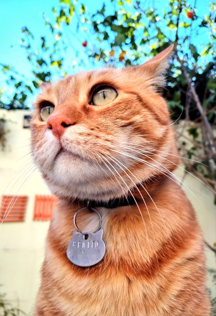 Buen día 🐾🧡 
Buena vida hoy ✨🙌🏻✨🎁☺️
