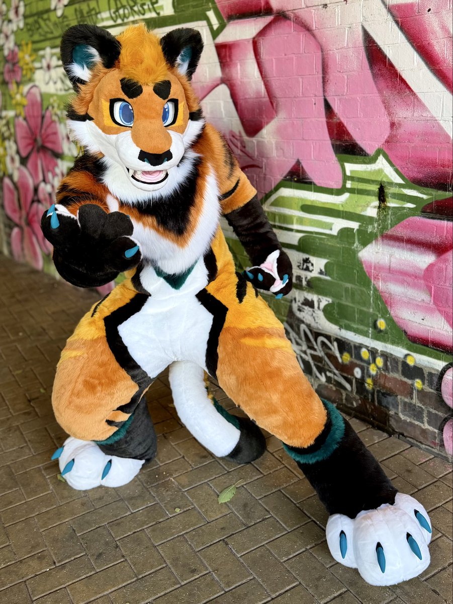 Cairo 🔜 ??? tweet media