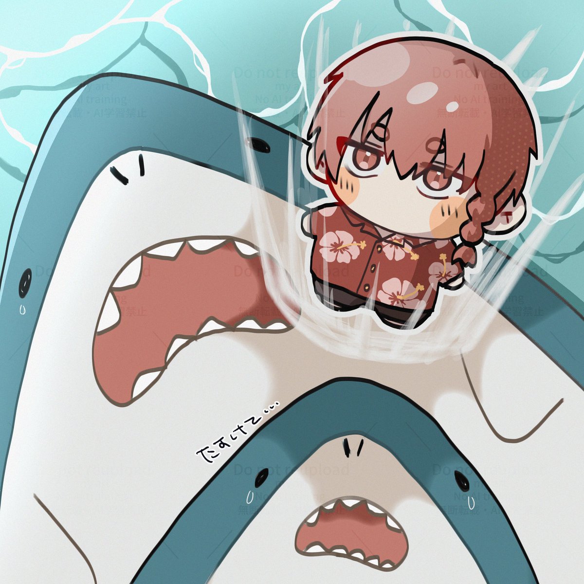 ↓🦈↓🦈↓