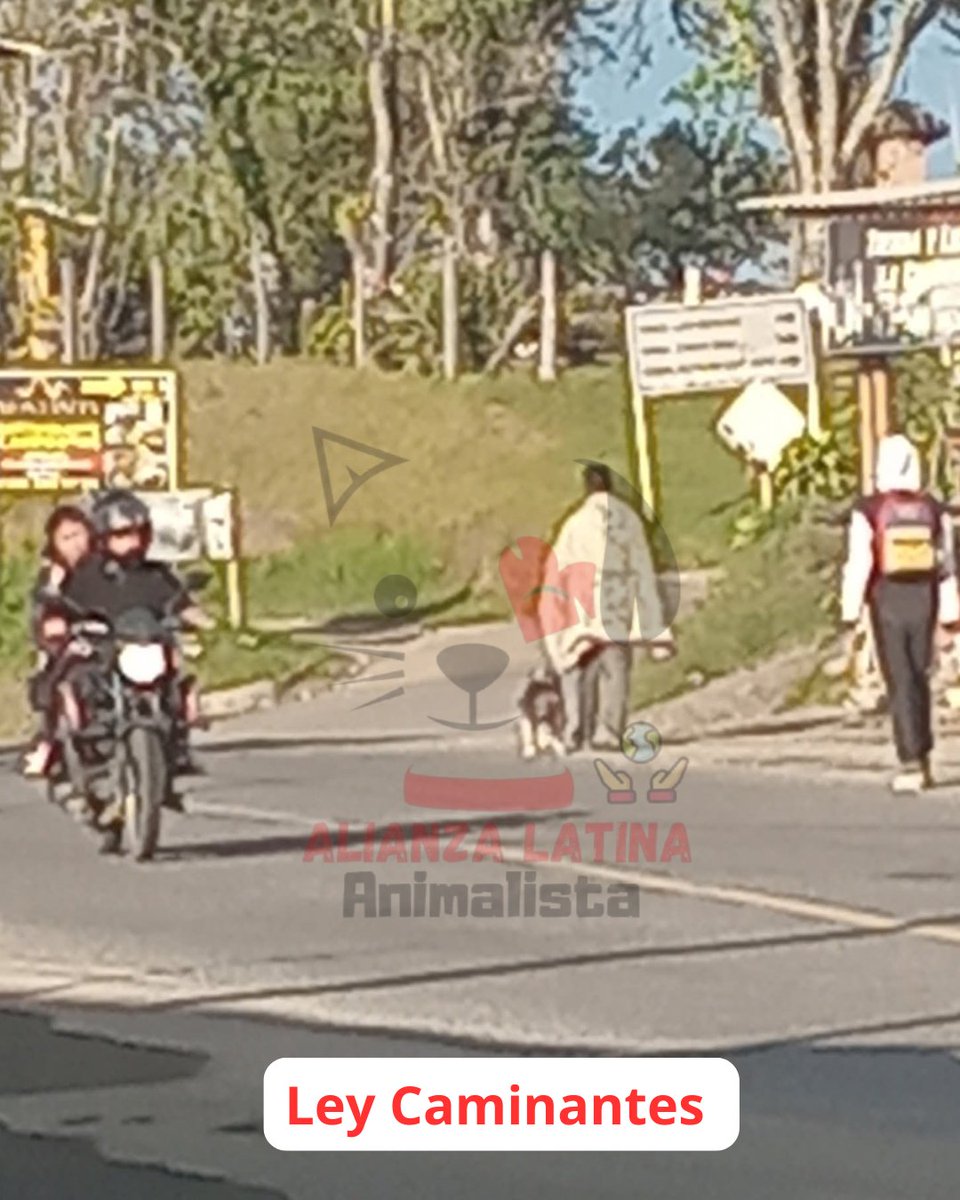 Seguimos en la lucha✊🏻 Mígrantes venezolanos se siguen llevando los perros <a href="/MigracionCol/">Migración Colombia</a> <a href="/MinInterior/">MinInterior Colombia</a> Que trabajen !!!! Pero con los animales No!!!
Vía Timbio Popayán Colombia #leycaminantesYa <a href="/eravelasco/">Erick Velasco - Pacto Histórico</a>