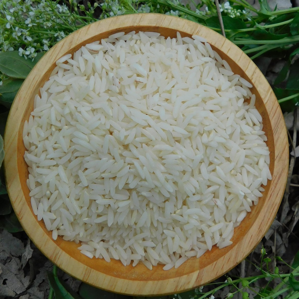 berenj_samgol's tweet photo. این برنج با این کیفیت تقدیمتون میشه کیلویی ۳۲۹ تا دونه آخرشم خالصه. https://t.co/S3h2LA5W1z
