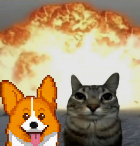 crypto_corgis's tweet photo. brupp

 #nft on $eth #ethereum made by #phantomwallet dev $sol also $corgi on #base #basezn #memecoins $sol $meme $doge $keycat $eth $base $doge $wif #crypto #altszn $alts https://t.co/ux6jPrwlSp