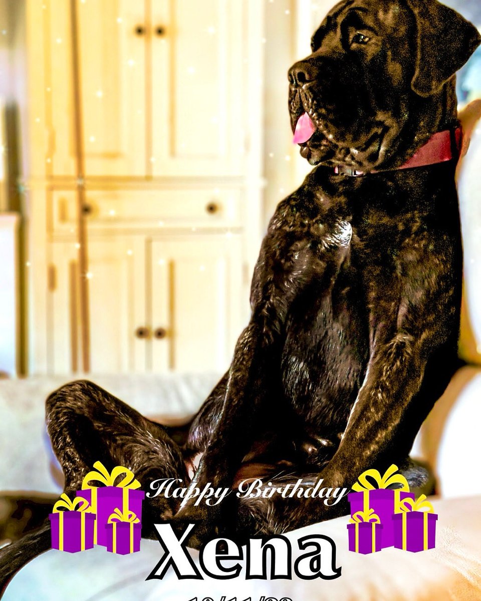 A little early.   Xena turns 3 on Saturday.  Please do wish her a happy birthday #dogs