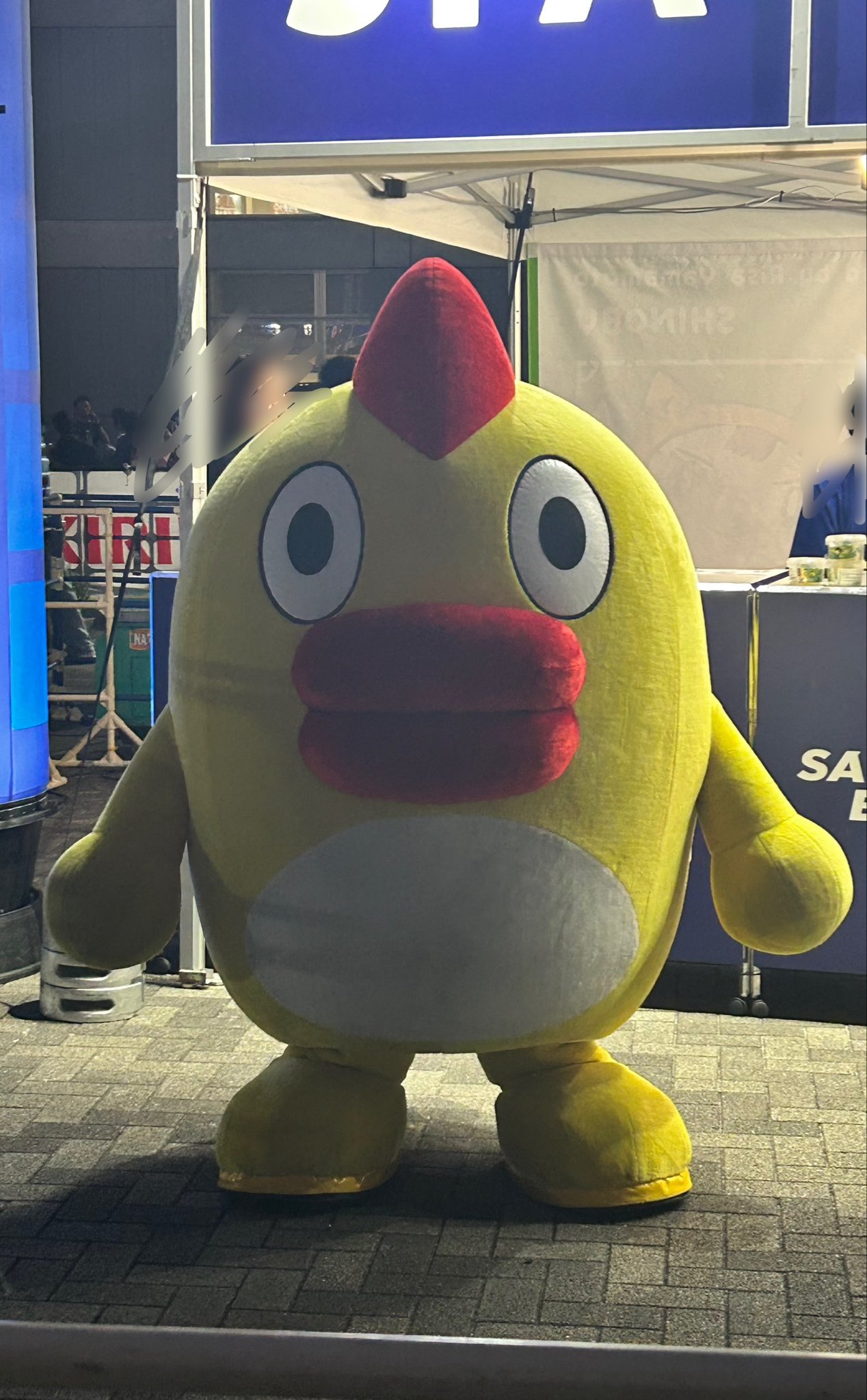 そらジロー そらジロー - Search / X