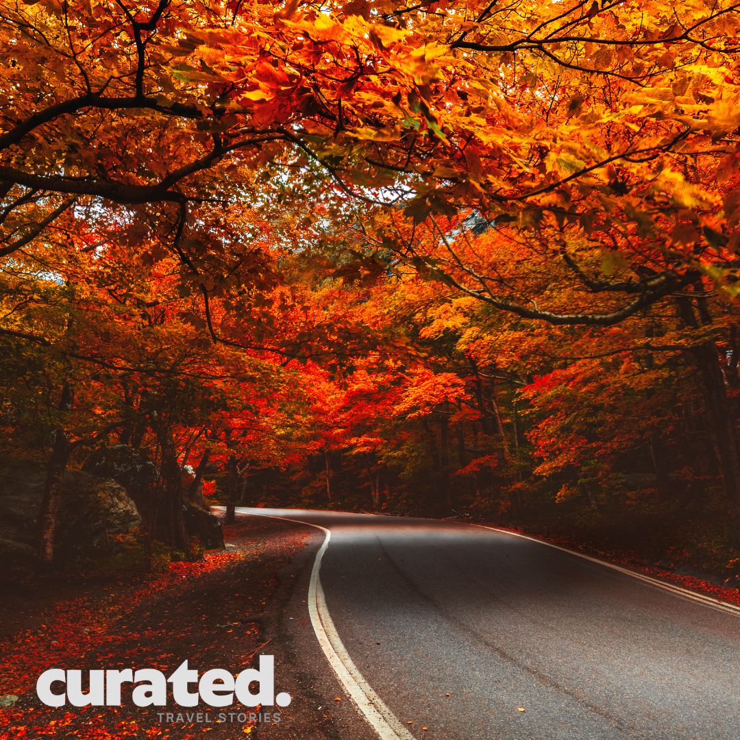 Runenfly's tweet image. 🍺 Cheers to October adventures! From Oktoberfest to the cozy cideries of Vermont and the waterfront breweries of Wilmington 🍂

Curated Travel Stories👉 mailchi.mp/8a818f0847e1/h…

#Oktoberfest #Breweries #Cider #Vermont #Fall #TravelMagazine #FallAdventures #AutumnEscapes ✨🍁
