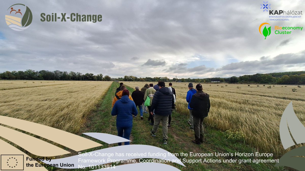 soilxchange's tweet image. 🌱 Successful Study Tour in Slovakia!
On Oct 7,  ITE, @BE_Cluster  &amp;amp; @SoilXChange explored regenerative &amp;amp; soil-friendly farming in Patince &amp;amp; Tvrdošovce — no-till, innovative sowing &amp;amp; organic poppy 🌾
🧑‍🌾 Farmers shared valuable lessons on building drought and market resilience.