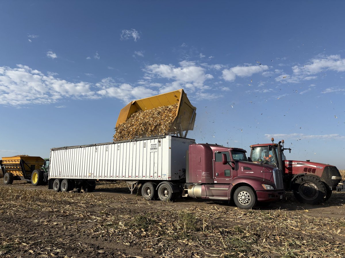 Eric M. Kamler tweet media